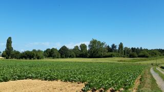 Maison à vendre 7 pièces 150 m²