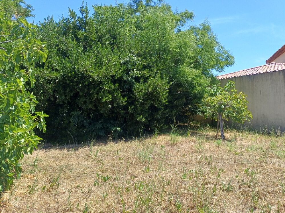 vente Terrain - 405 m² La Crau (83260)