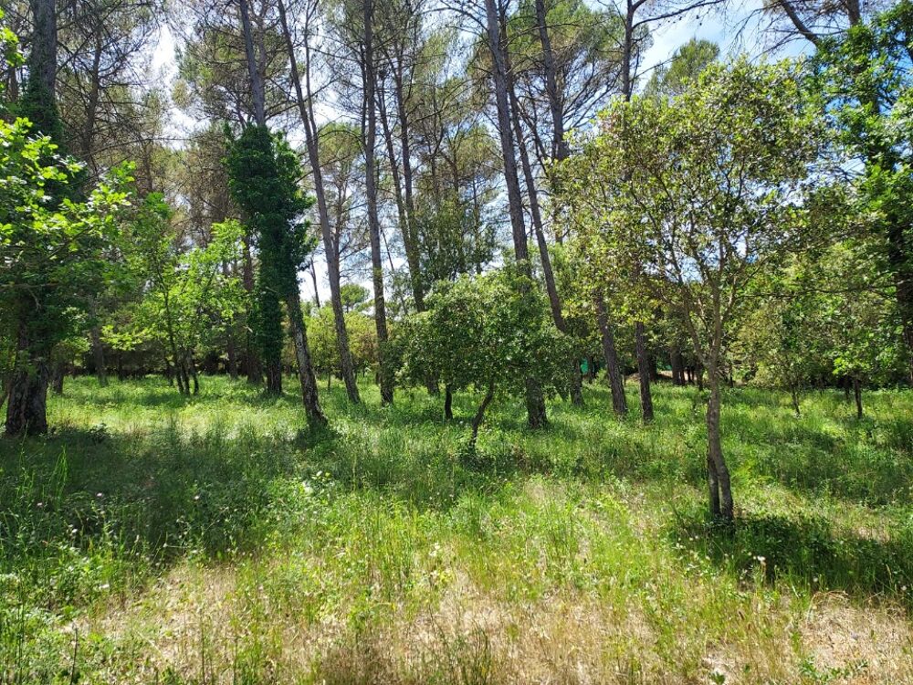 vente Terrain - 664 m² Garéoult (83136)