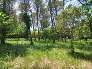  Terrain à vendre 664 m²