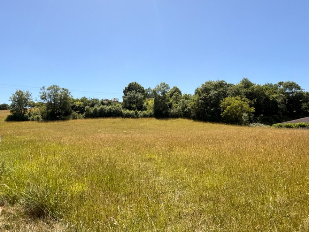 vente Maison - 5 pièce(s) - 82 m² Auriac-sur-Vendinelle (31460)