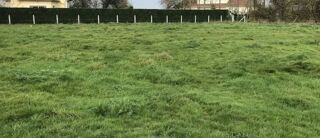  Maison à vendre 5 pièces 100 m²