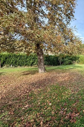  Maison 4 pièces 138 m² Saint-selve