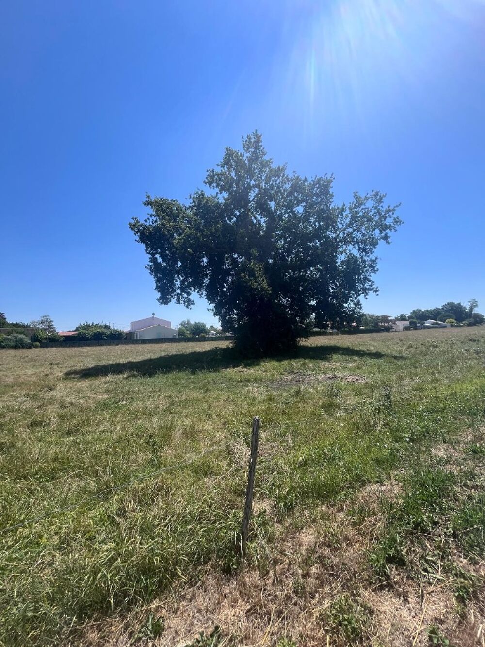 vente Terrain - 312 m² Médis (17600)