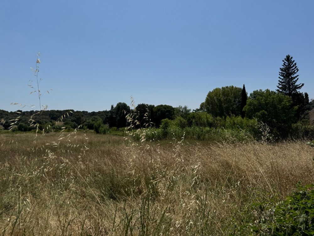 vente Terrain - 400 m Aubais (30250)