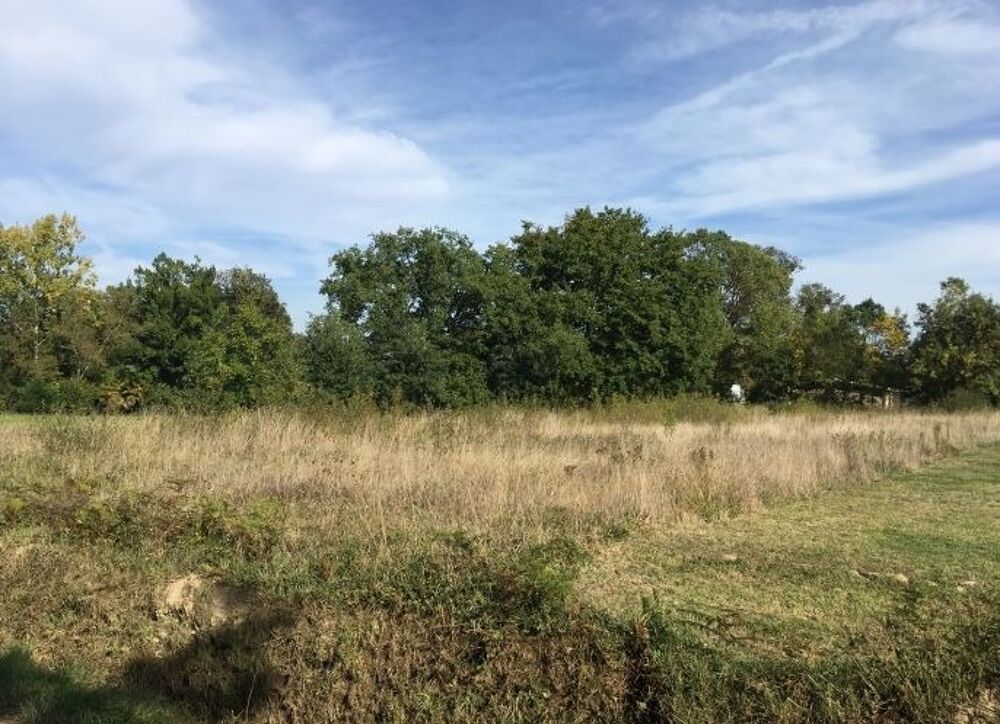 vente Maison - 7 pièce(s) - 139 m² Beaufort (31370)