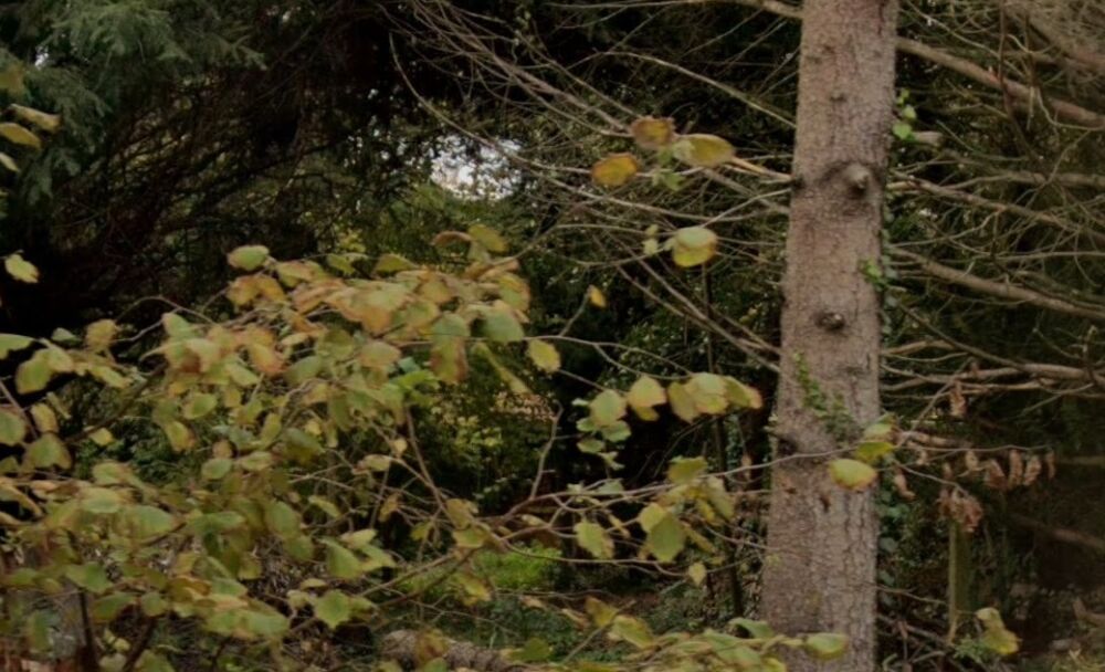 vente Terrain - 644 m² Saint-Michel-sur-Orge (91240)