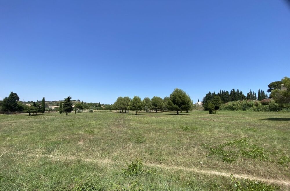 vente Terrain - 300 m² Saint-Pargoire (34230)