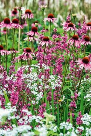  Terrain � vendre 496 m�