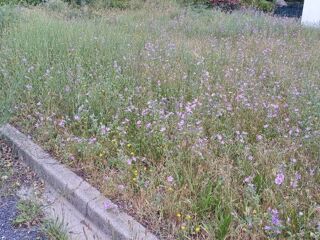  Terrain � vendre 237 m�