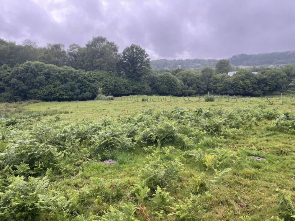 vente Terrain - 15000 m² Razès (87640)
