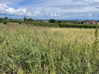  Terrain à vendre 459 m²