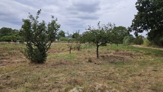  Terrain � vendre 503 m�