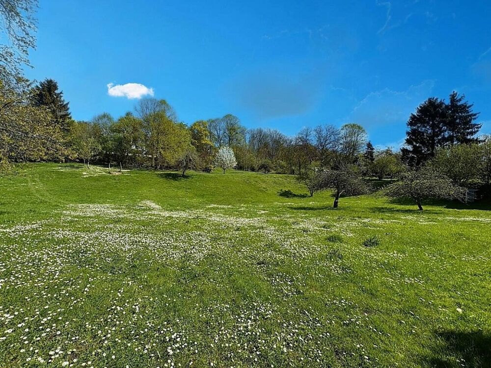 vente Maison - 5 pièce(s) - 160 m² Brumetz (02810)