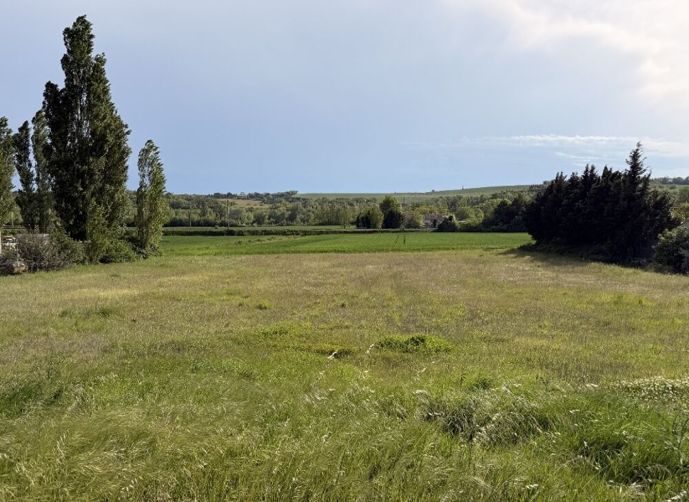 vente Maison - 5 pièce(s) - 138 m² Avignonet-Lauragais (31290)
