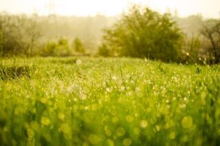  Maison à vendre 6 pièces 125 m²