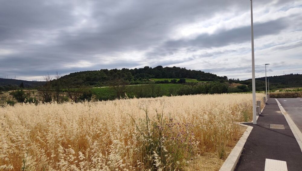 vente Terrain - 440 m² Portel-des-Corbières (11490)