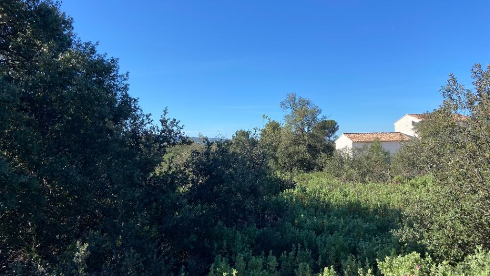 vente Terrain - 1165 m² Puget (84360)