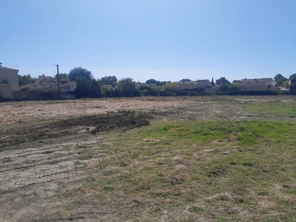 vente Terrain - 523 m² Morières-lès-Avignon (84310)