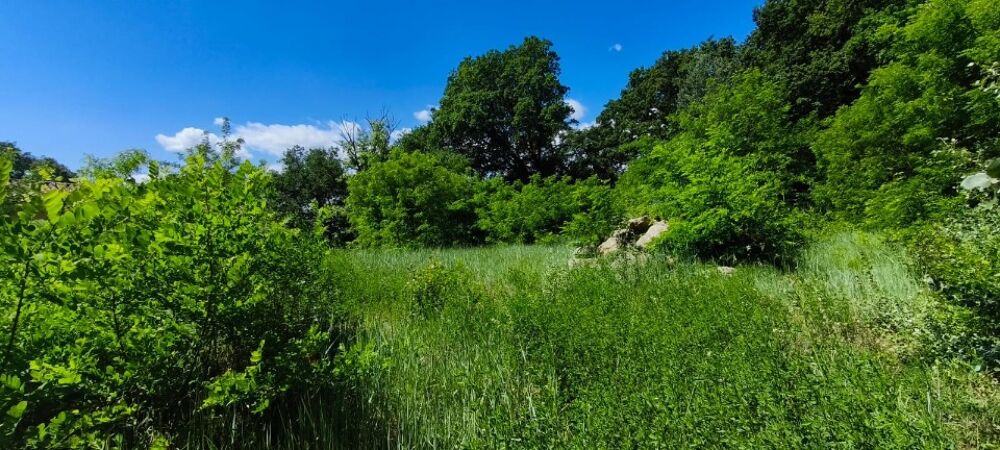 vente Terrain - 2211 m² Montélimar (26200)
