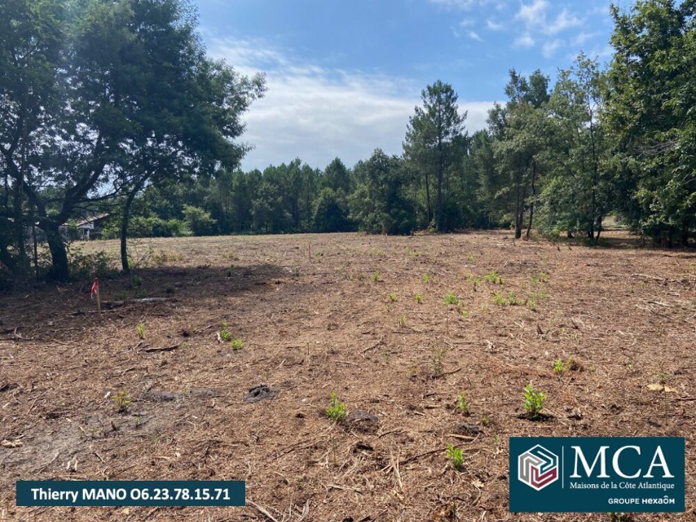 vente Terrain - 700 m² Pontenx-les-Forges (40200)