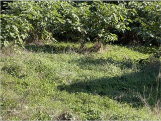vente Terrain - 630 m² Miramas (13140)