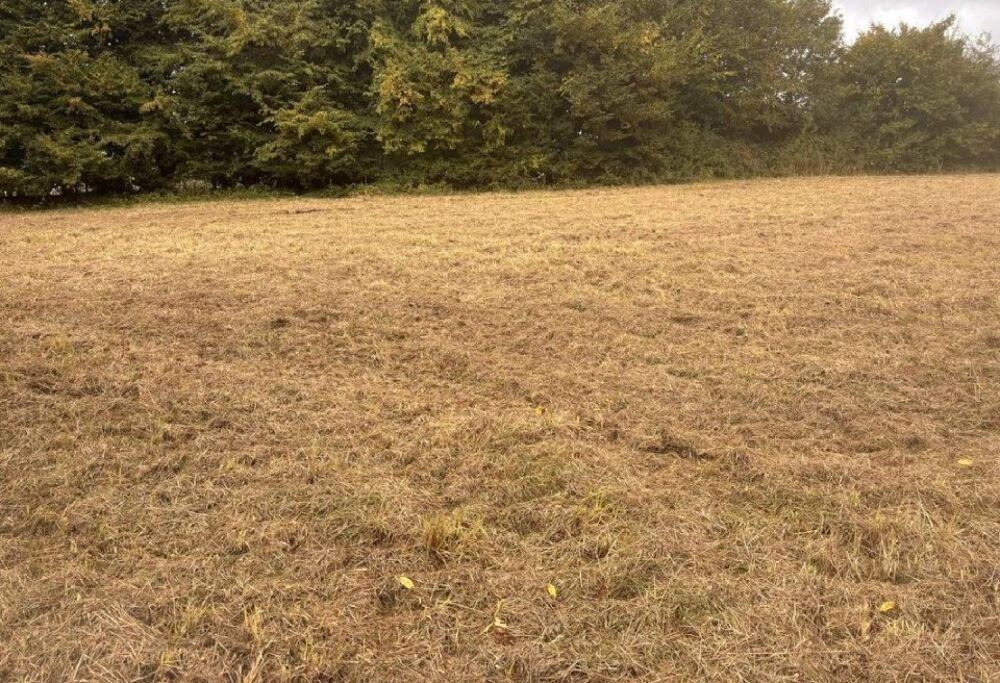 vente Maison - 5 pièce(s) - 135 m² Machy (80150)