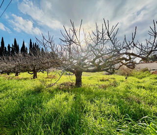  Maison � vendre 3 pi�ces 90 m�