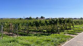  Maison  vendre 4 pices 110 m