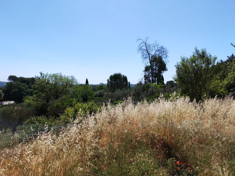 vente Terrain - 628 m² Lorgues (83510)