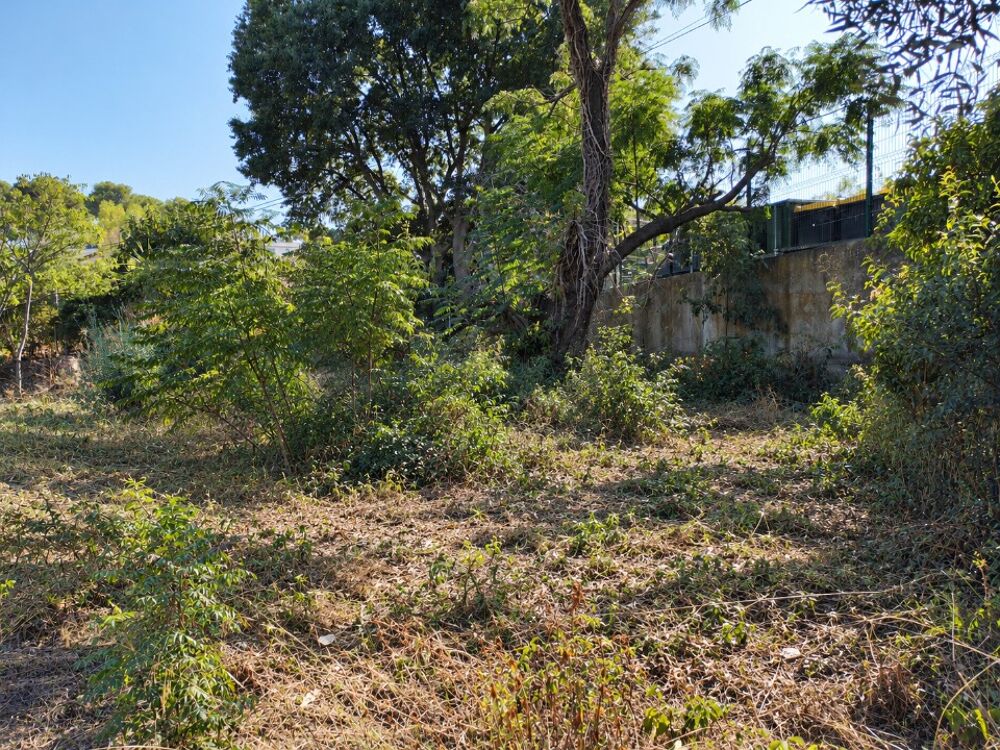 vente Terrain - 290 m² Toulon (83000)