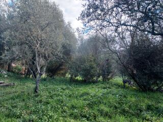  Terrain � vendre 970 m�