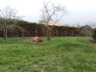  Maison 6 pi�ces 147 m� Bragayrac