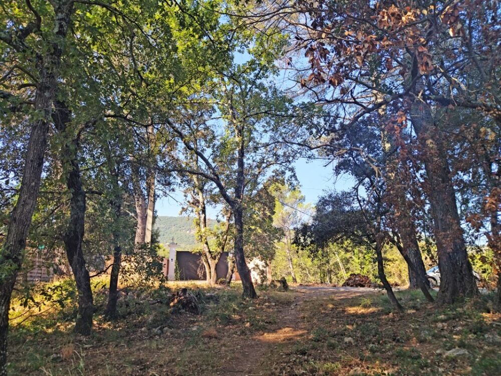 vente Terrain - 732 m² Le Thoronet (83340)