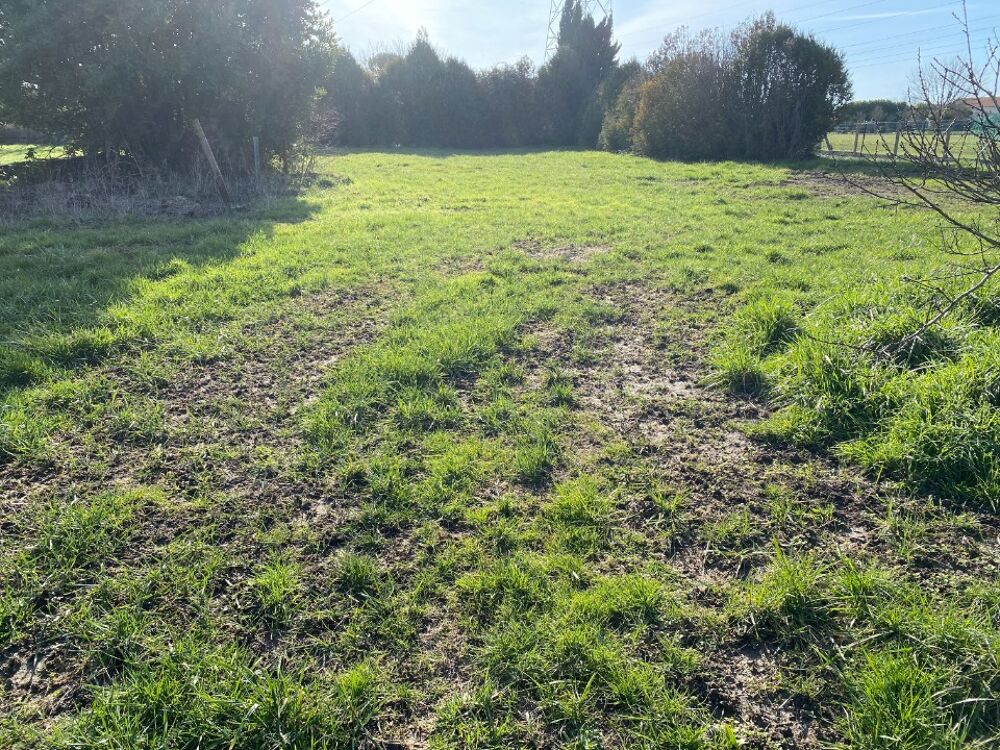 vente Terrain - 870 m² Saint-Agnant (17620)