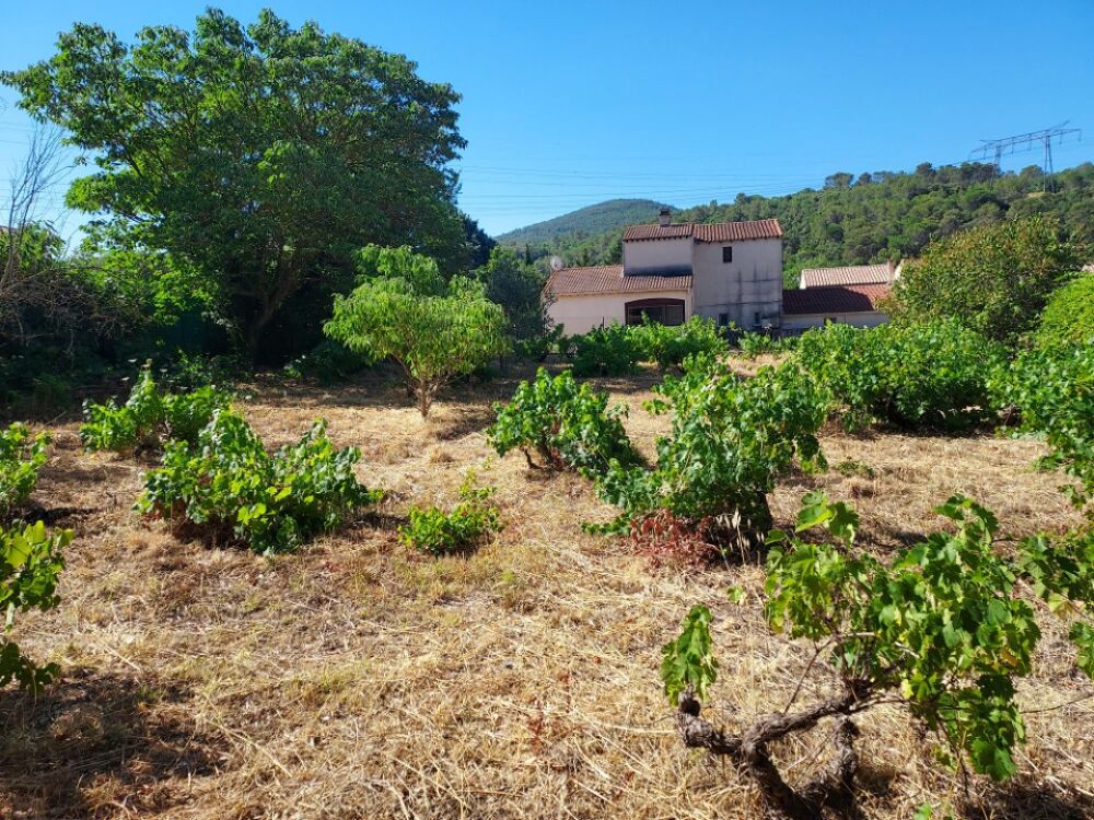vente Terrain - 880 m² Sainte-Anastasie-sur-Issole (83136)