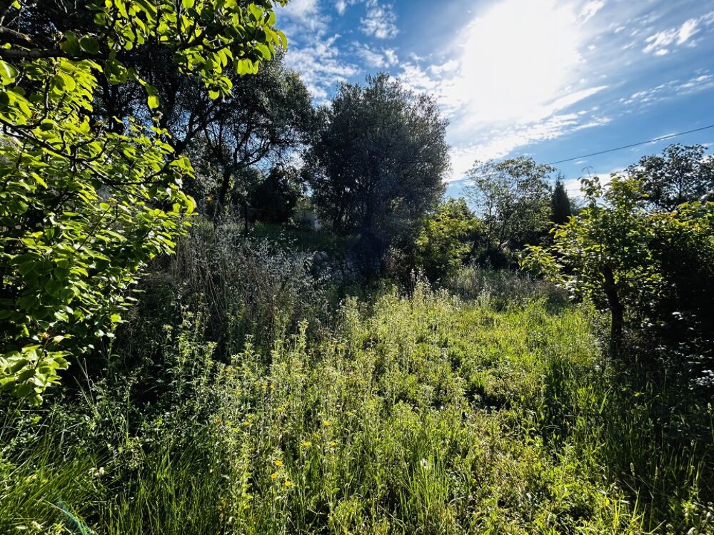 vente Terrain - 1000 m² Draguignan (83300)