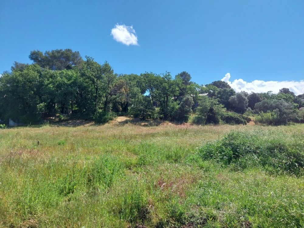 vente Terrain - 415 m² Fréjus (83600)