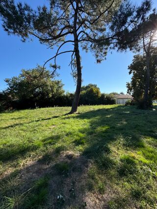  Terrain  vendre 2307 m