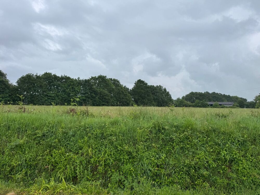 MAISON À CONSTRUIRE DE 75 M² À COSSÉ-LE-VIVIEN, PROCHE D....