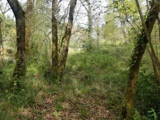  Terrain � vendre 820 m�