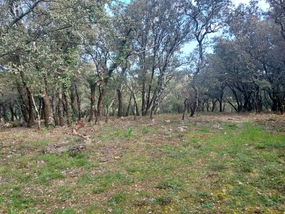 vente Terrain - 1900 m² Sainte-Anastasie-sur-Issole (83136)