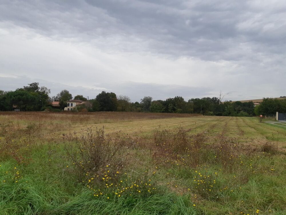 vente Maison - 4 pièce(s) - 75 m² Cépet (31620)