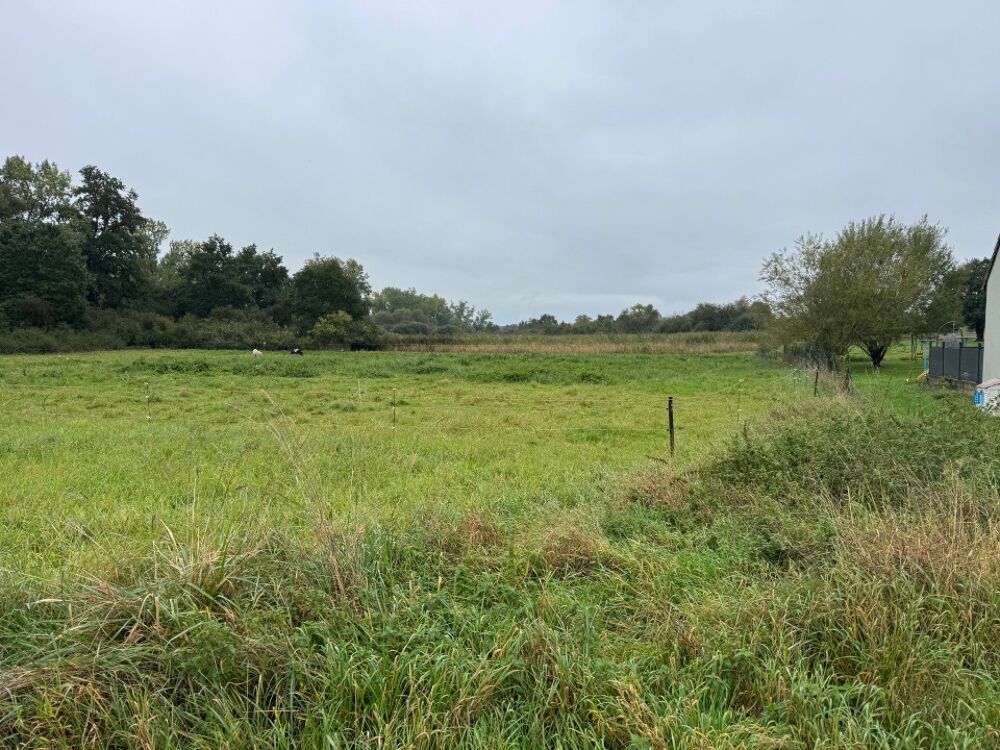 vente Maison - 5 pièce(s) - 100 m² Chémery-les-Deux (57320)