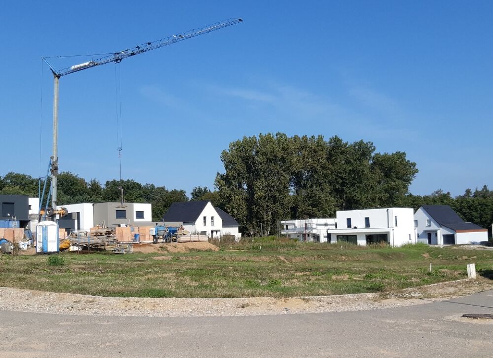 vente Terrain - 781 m² Schweighouse-sur-Moder (67590)