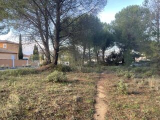  Terrain 901 m� Alleins