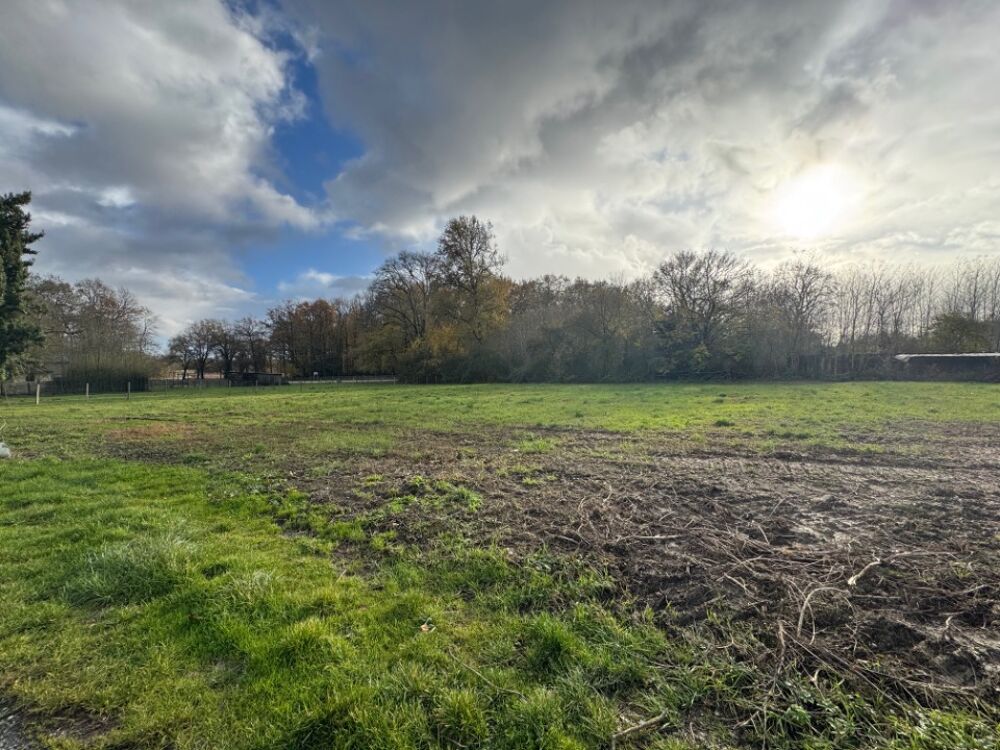 vente Terrain - 866 m² Blaignan (33340)
