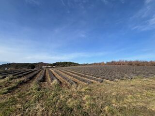  Terrain � vendre 641 m�