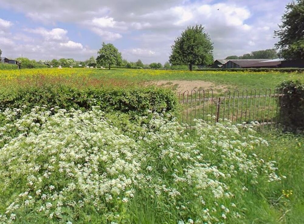 vente Maison - 4 pièce(s) - 103 m² Gommegnies (59144)