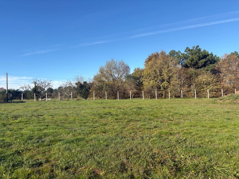 vente Terrain - 1100 m² Saint-Magne-de-Castillon (33350)